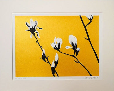 Lene Bladbjerg - 'Spring Fever Gold'